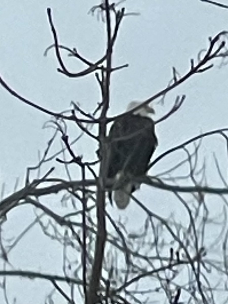 David Cooper tweet media