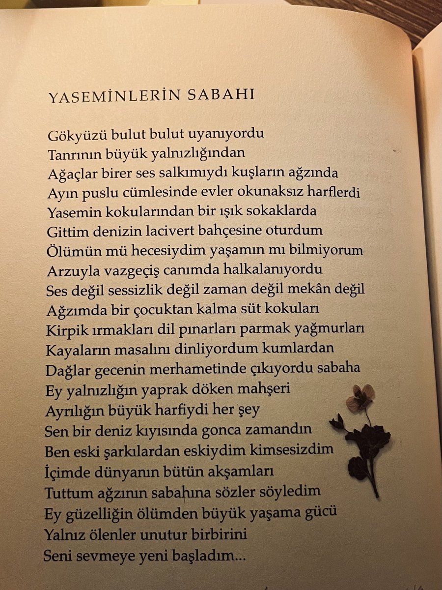 Ben eski şarkılardan eskiydim kimsesizdim*