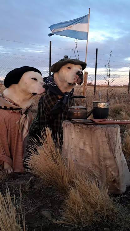 <a href="/EsTendenciaEnX/">Es tendencia en 𝕏</a> No habrá ido al campo