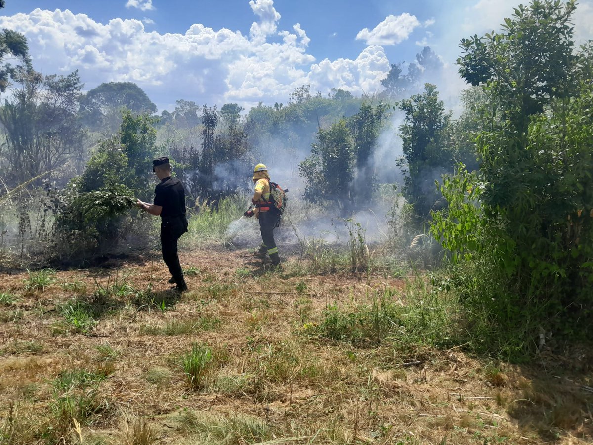 jorgekurrle's tweet image. #Controlaron un principio de #foco #ígneo en una zona de #malezas de Alem

Un principio de foco ígneo fue detectado en la tarde de este lunes alrededor de las 14:20 horas, en un sector de malezas lindante a un galpón de camiones, ubicado en el kilómetro 38, Lote N.° 54,