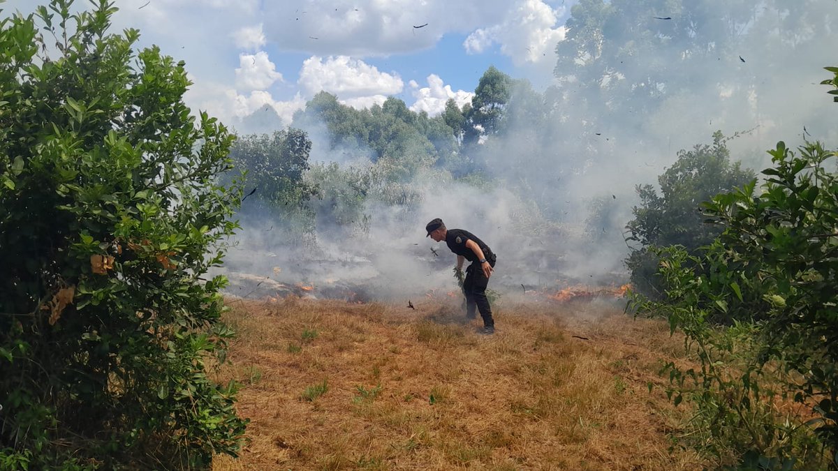 jorgekurrle's tweet image. #Controlaron un principio de #foco #ígneo en una zona de #malezas de Alem

Un principio de foco ígneo fue detectado en la tarde de este lunes alrededor de las 14:20 horas, en un sector de malezas lindante a un galpón de camiones, ubicado en el kilómetro 38, Lote N.° 54,