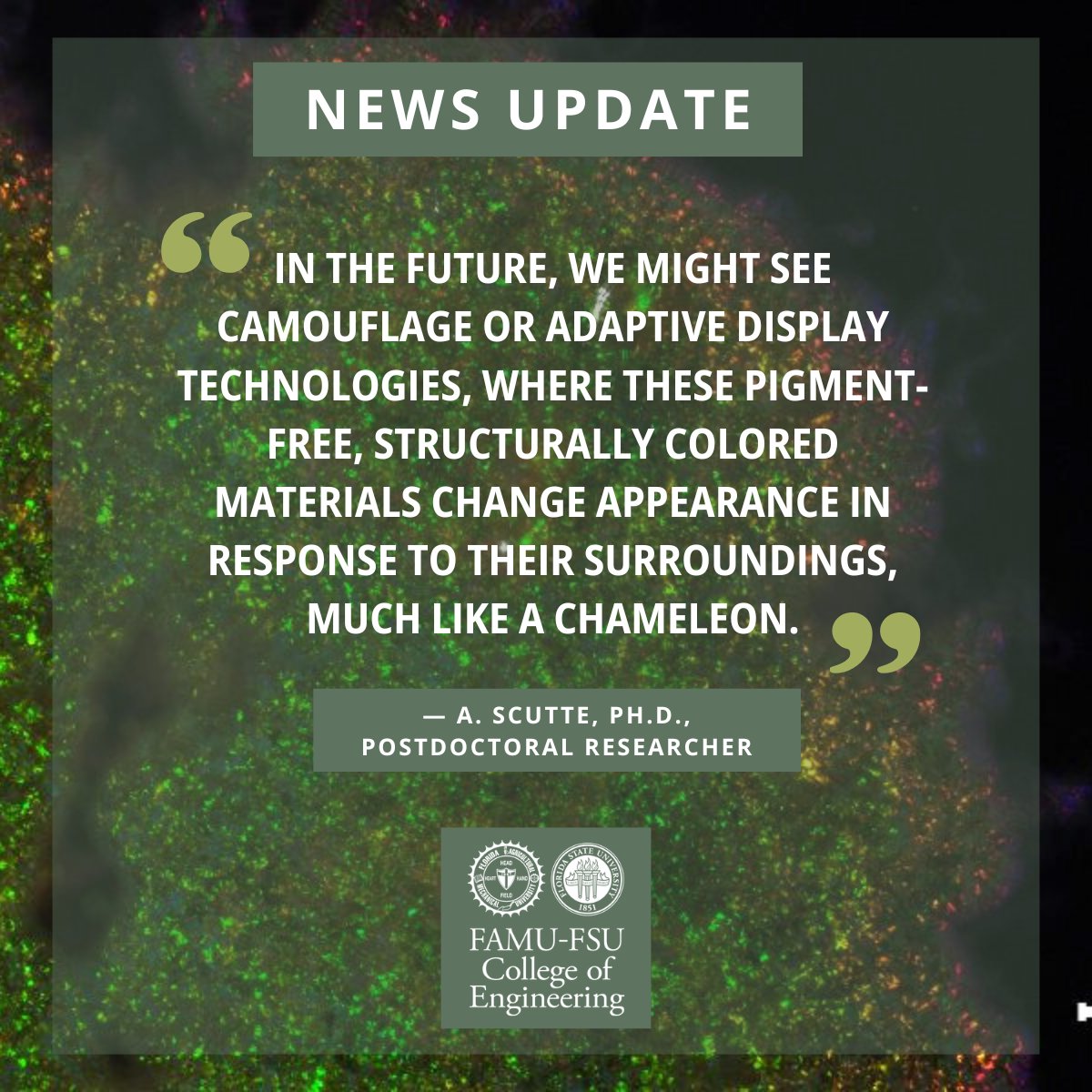 IGNITE FSU tweet media