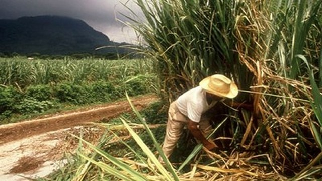 como nieto de zafreros solo puedo pensar: qué brutos son los porteños.