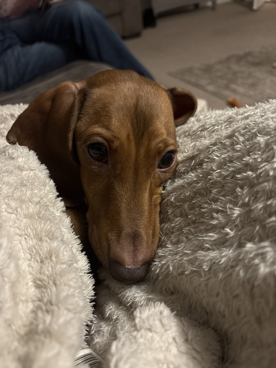 Adele & Andy tweet media