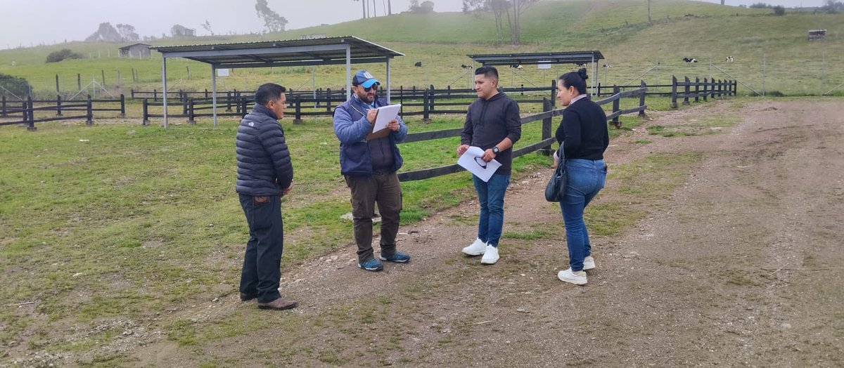 AgrocalidadZ6's tweet photo. #Cañar | Se realizó la inspección a la feria de Comercialización de Ganado de Ingapirca para otorgar el permiso de funcionamiento y asegurar la Sanidad Animal. 
#PrevenciónSanitaria https://t.co/C8s6WtY6QT