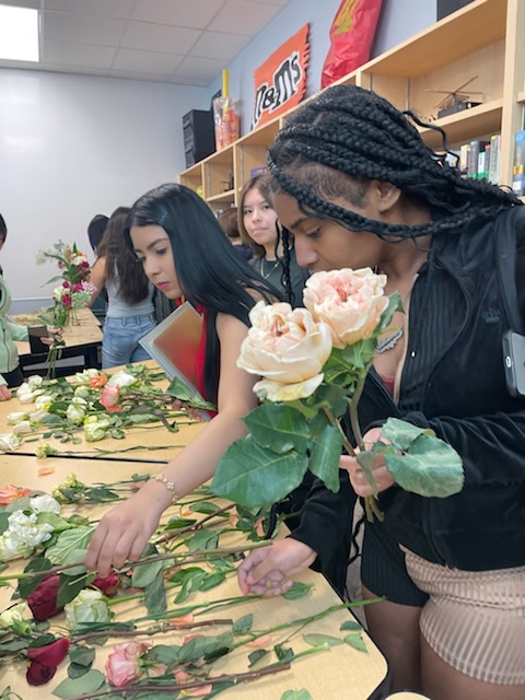 DelValleOC tweet media