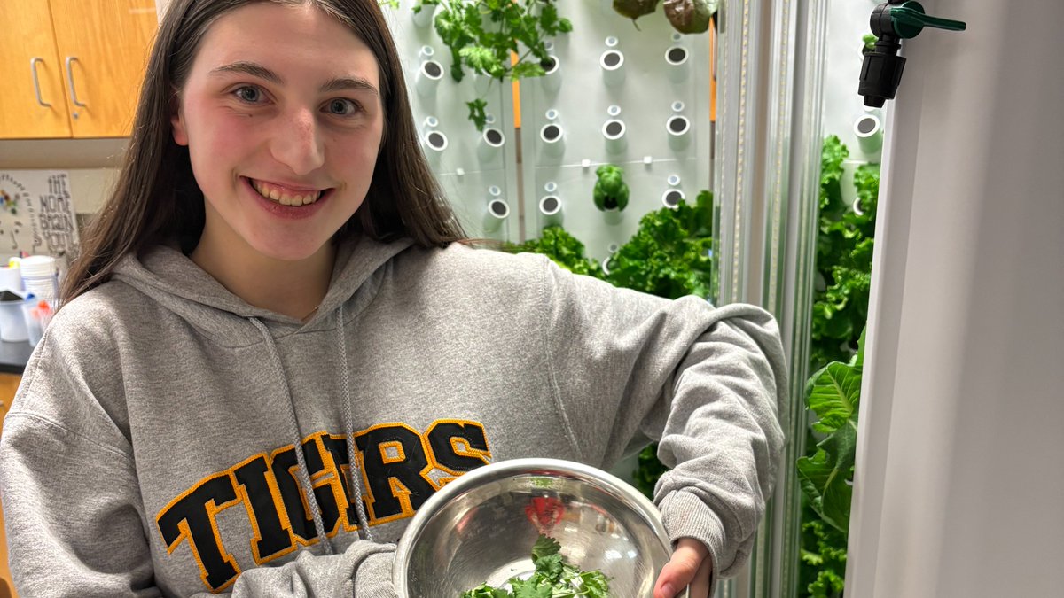 NA_Schools's tweet photo. Last Friday, Mrs. Oliver and Ms. Phillips' Applied Science students harvested cilantro and lettuce from the Hydroponic Farm at North Allegheny Senior High School! 

Click here for full story: https://t.co/v3IPenokjU https://t.co/SkqYaYs0d7
