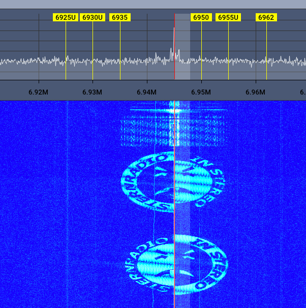 Black Cat Systems tweet media