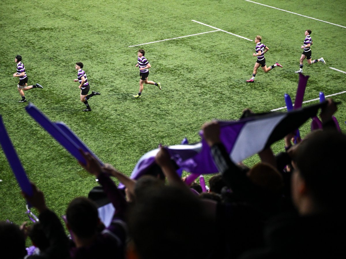 Leinster Domestic tweet media