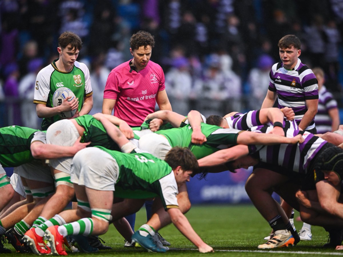 Leinster Domestic tweet media