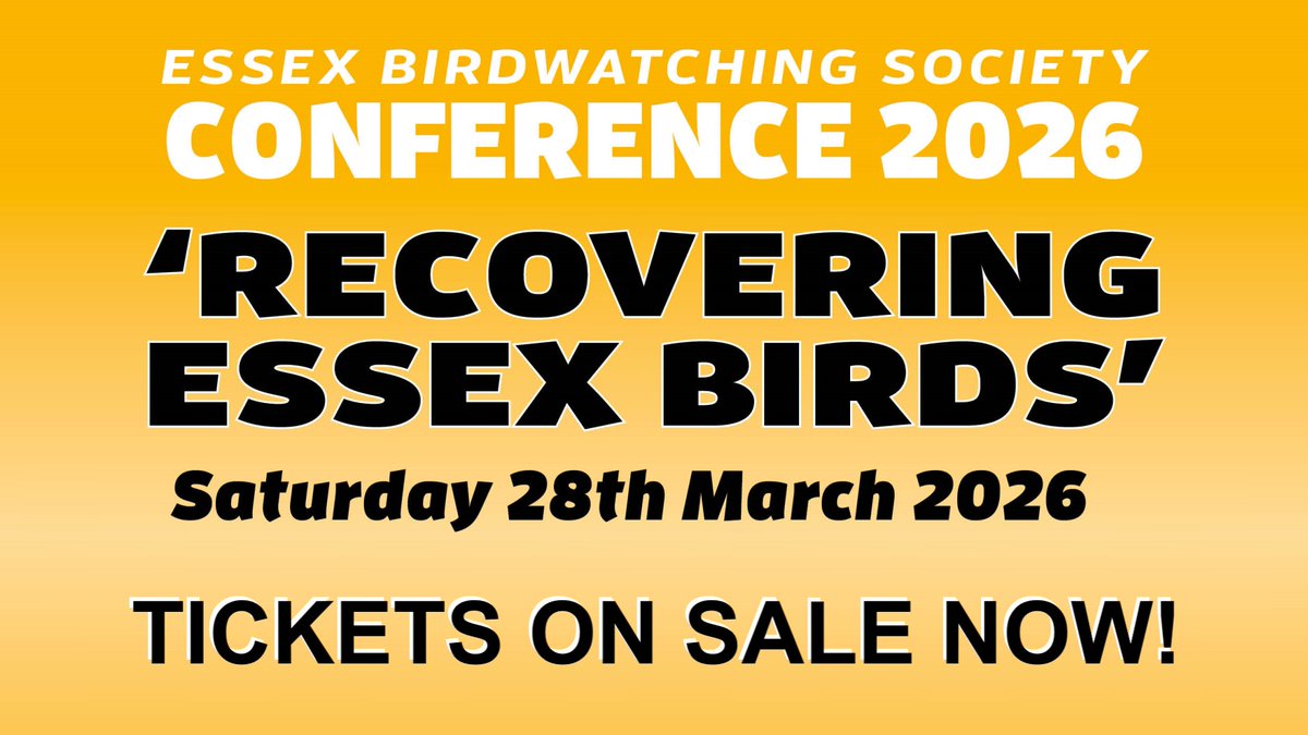 Essex Birdwatching Society tweet media