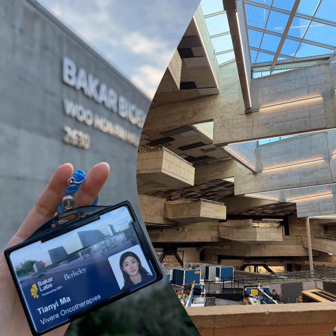 BerkeleyMBT tweet media