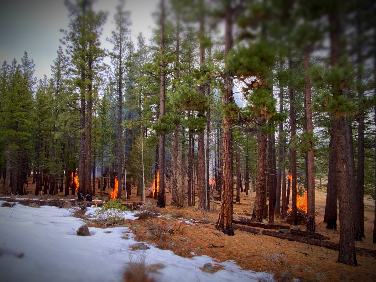 HumboldtToiyabe's tweet image. Prescribed burning continues in the Dog Valley area west of Reno this morning; smoke may visible