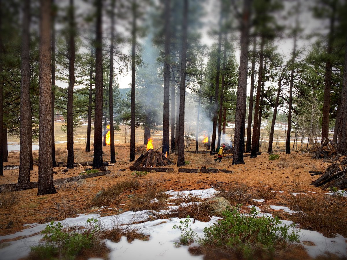 HumboldtToiyabe's tweet image. Prescribed burning continues in the Dog Valley area west of Reno this morning; smoke may visible