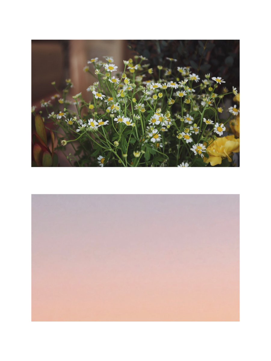 夜脈カセツ (@yosuji_) on Twitter photo 