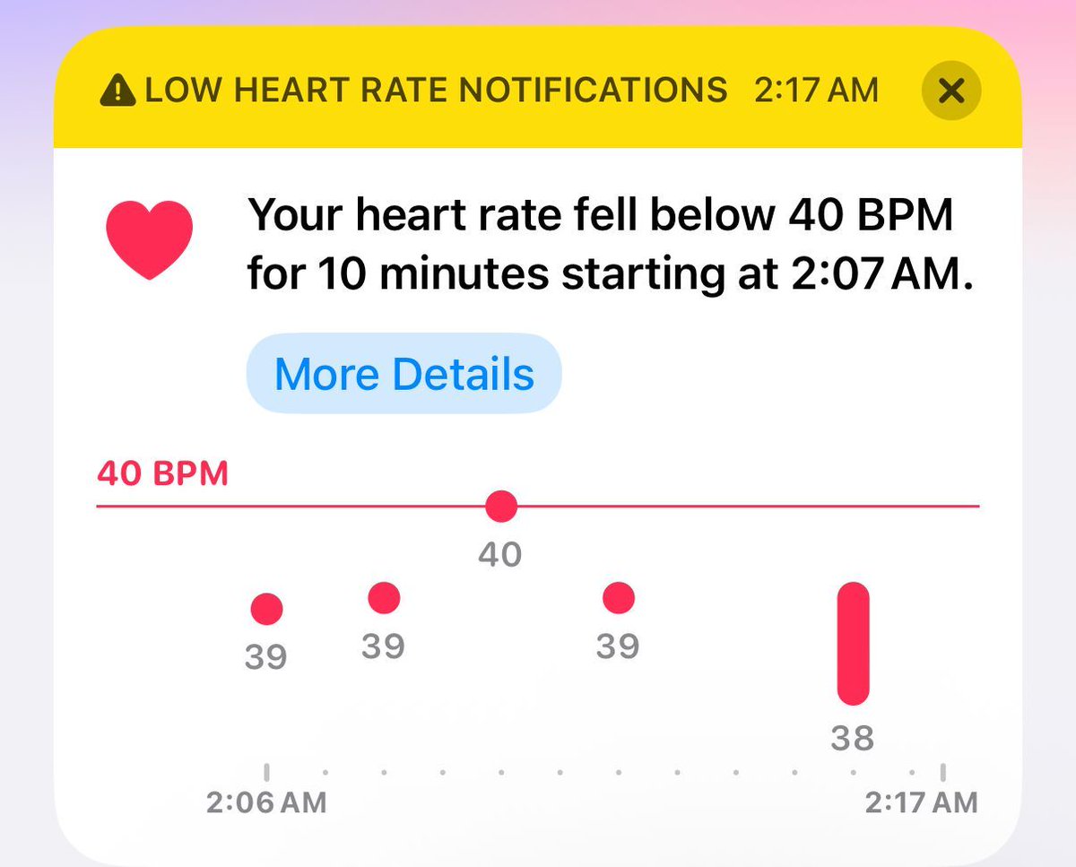 Maia Bittner tweet media