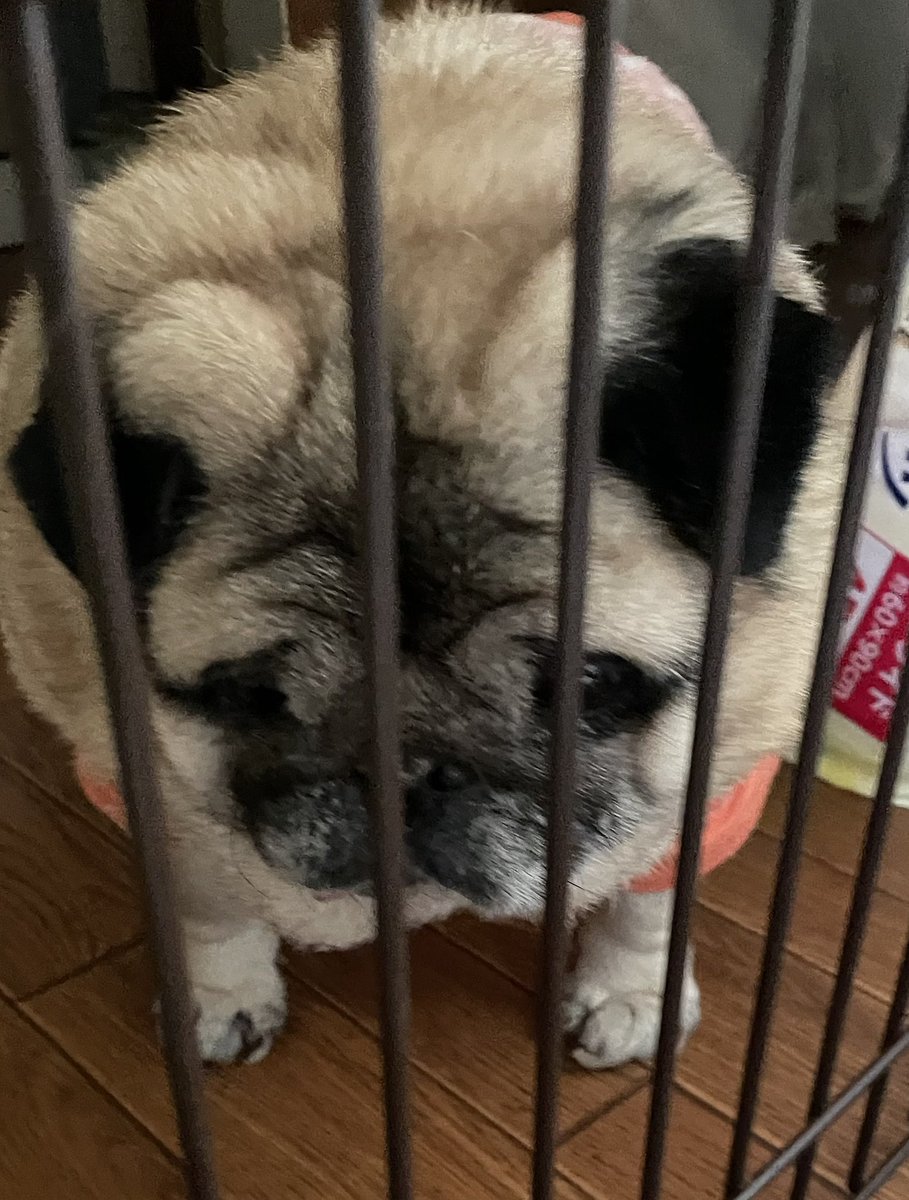 この瞬間が一番仕事辞めたくなる
