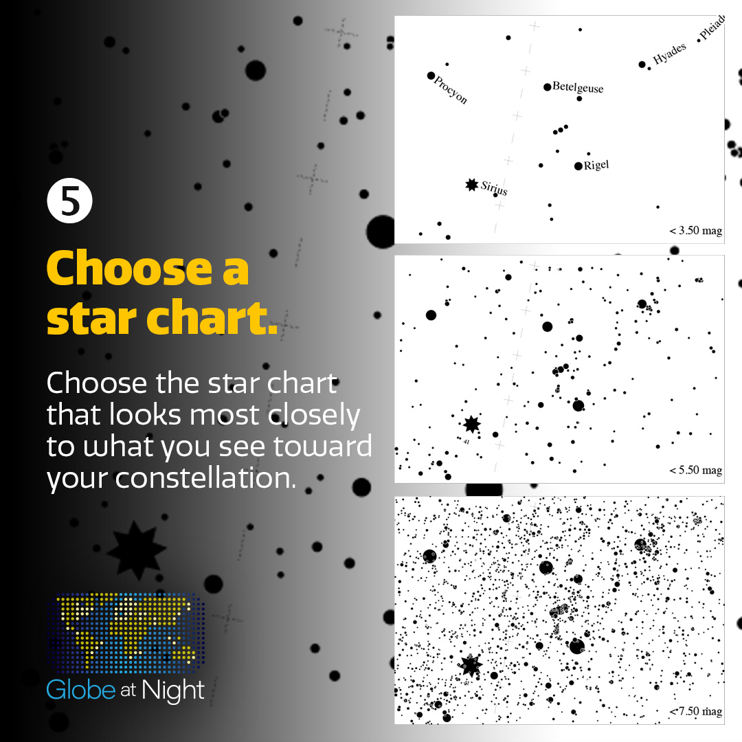 GLOBE at Night tweet media