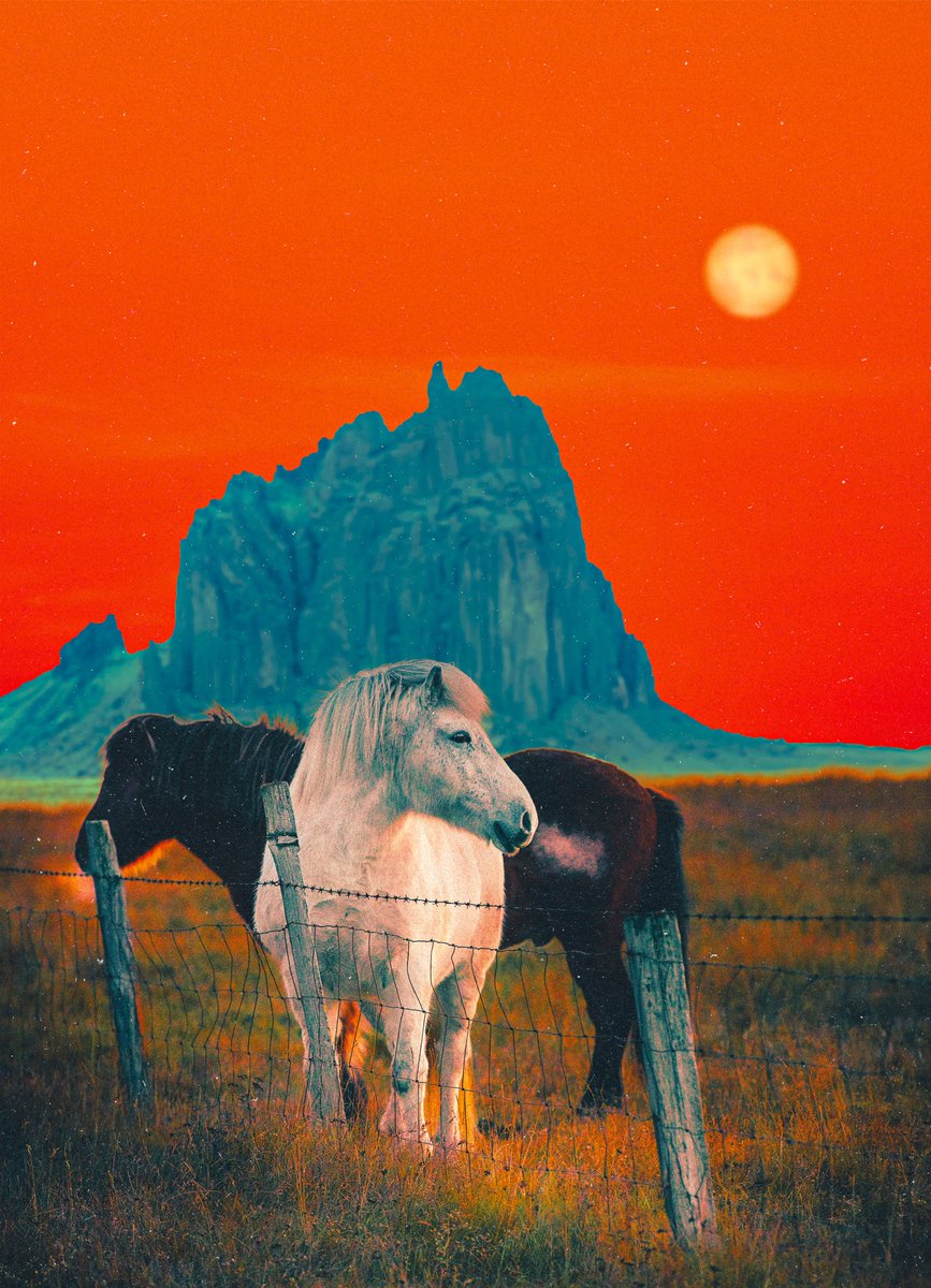 horses