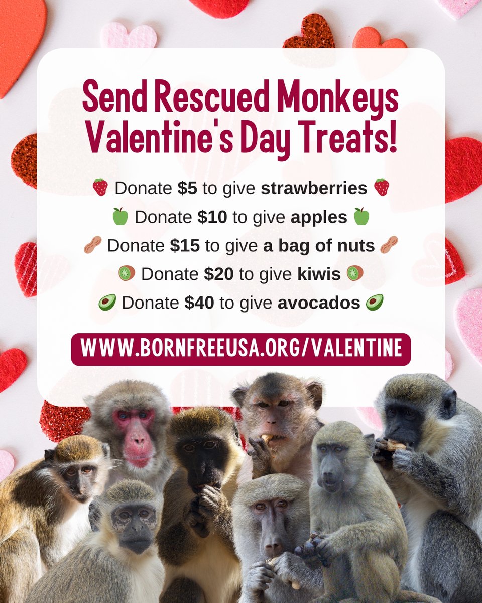 Born Free USA tweet media