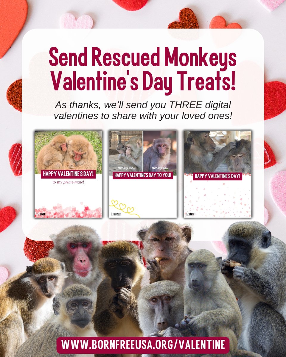 Born Free USA tweet media