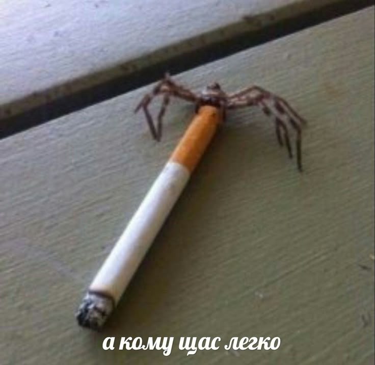 Memes para Jovens CLT's (@malditosmeme) on Twitter photo 