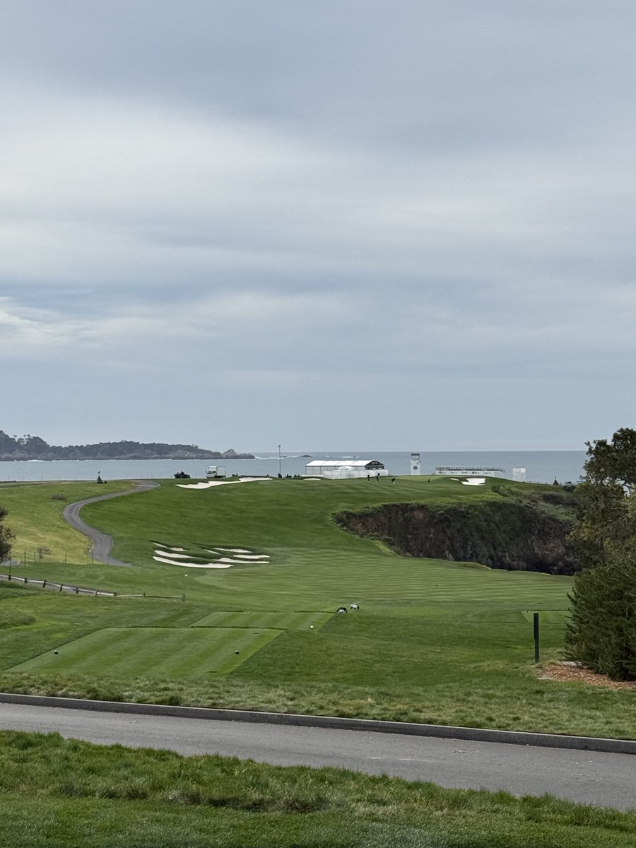 Michael S. Kim tweet media