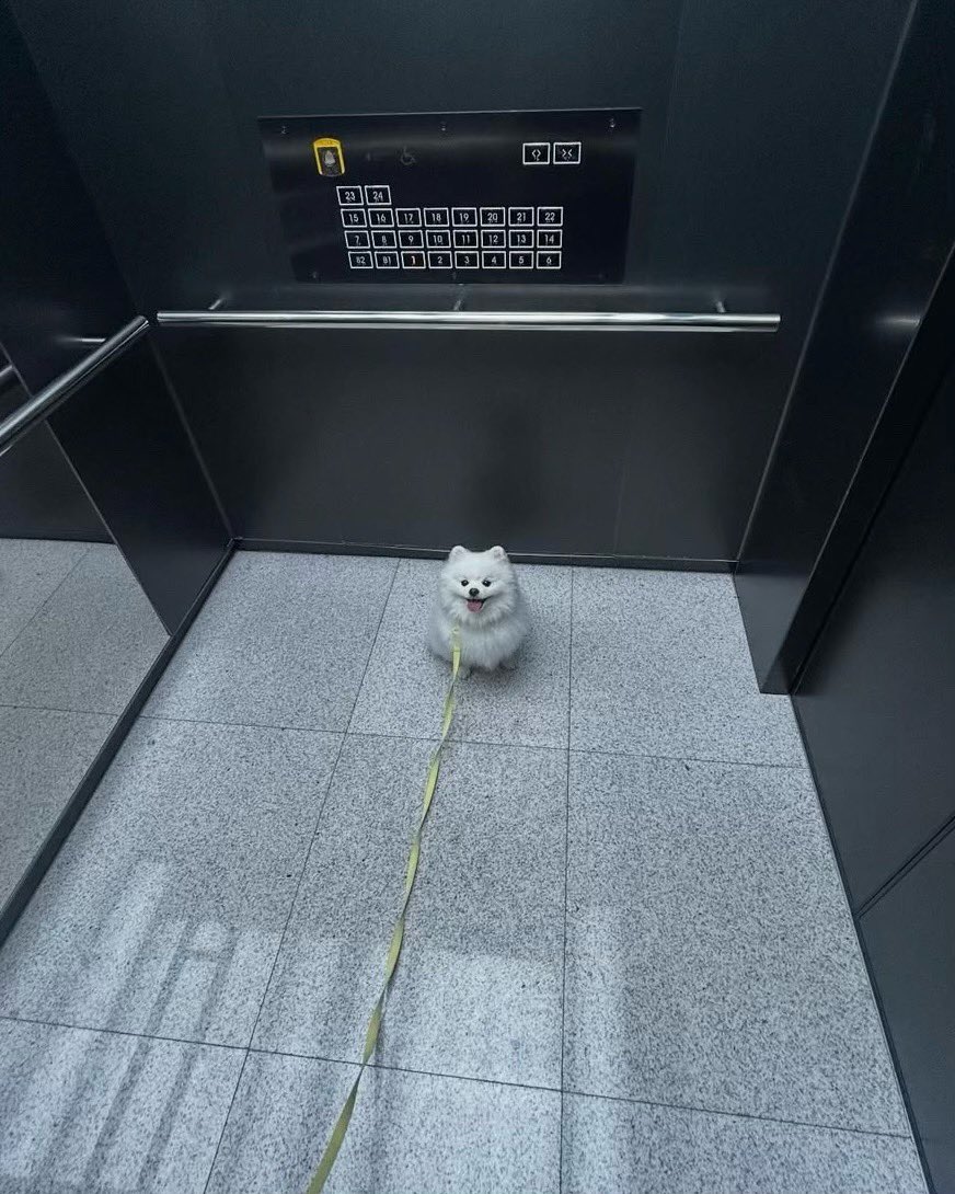 This is Makdoong. He is wondering if you could press his floor for him. Isn't sure which one it is, but trusts your best guess. 12/10