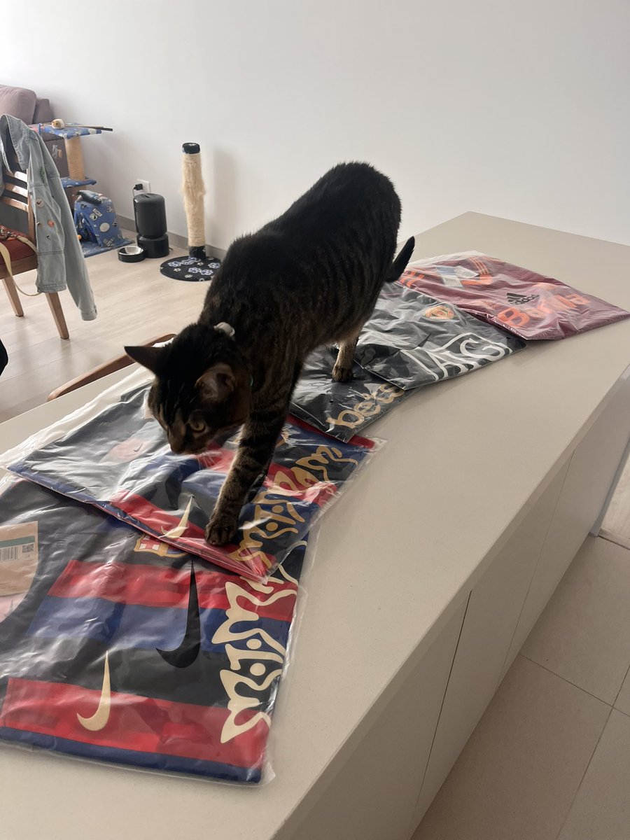 StupidusFede's tweet photo. Aprobado pedir camisetas a China 🫣 https://t.co/h8DLrZqCwK