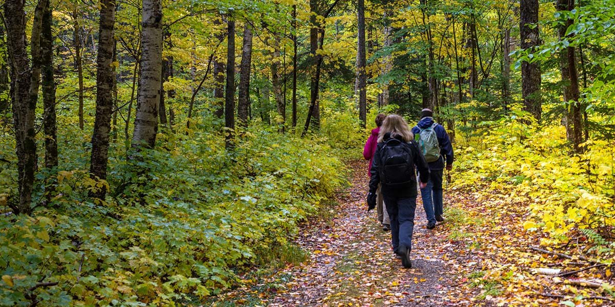 SP Institute tweet media