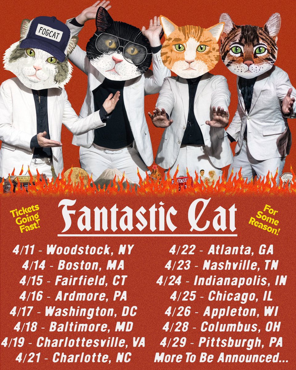 Fantastic Cat tweet media