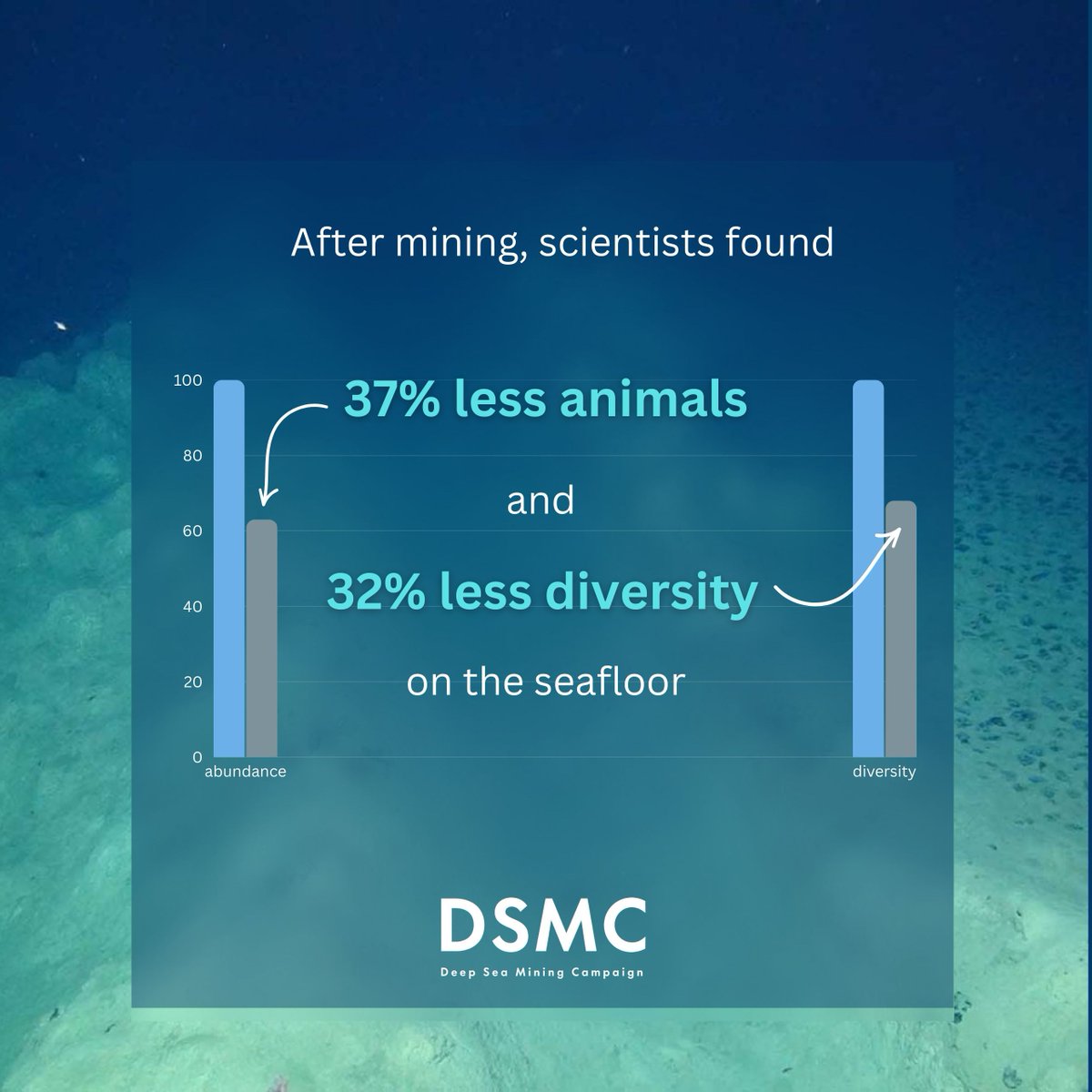 Deep Sea Mining Campaign tweet media