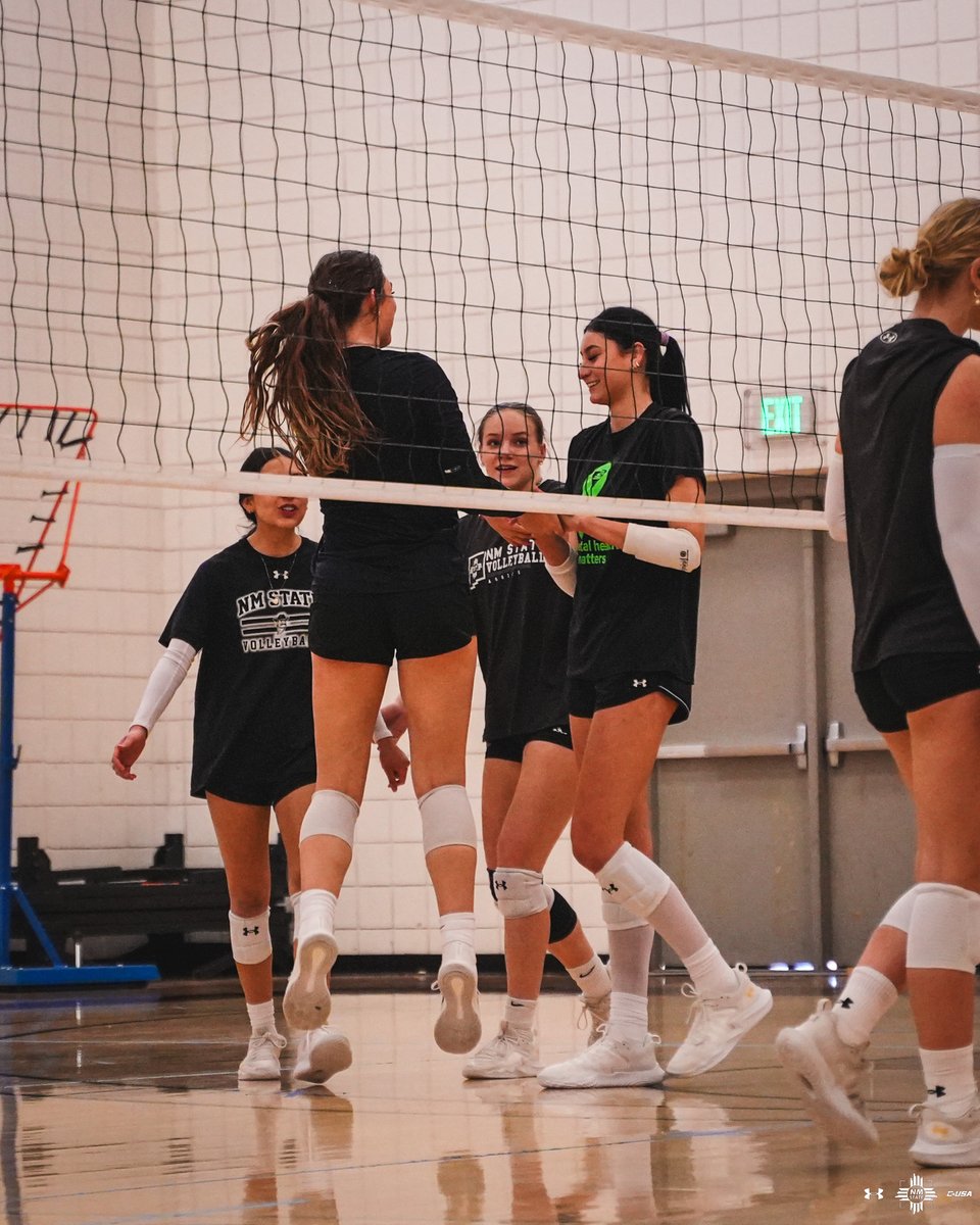NM State Volleyball tweet media