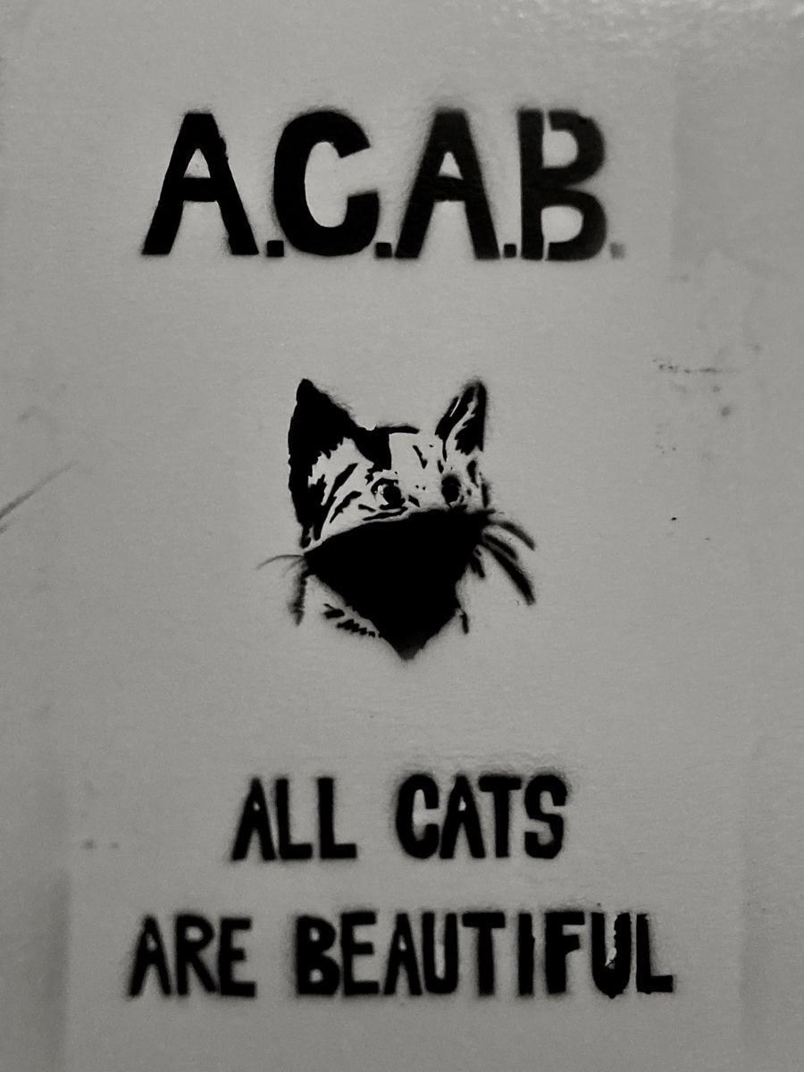 ❝A.C.A.B - All Cats Are Beautiful❞