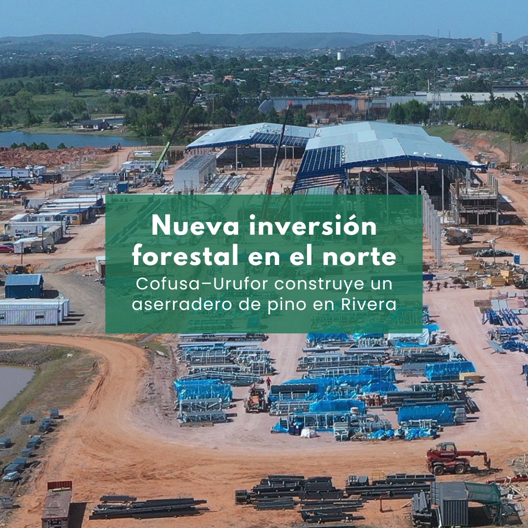 Revista Forestal tweet media