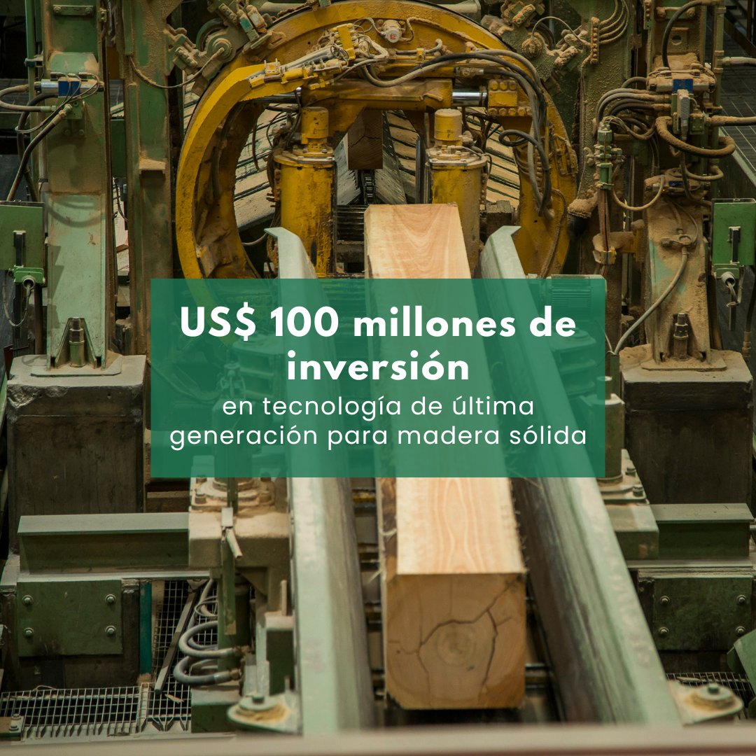 Revista Forestal tweet media