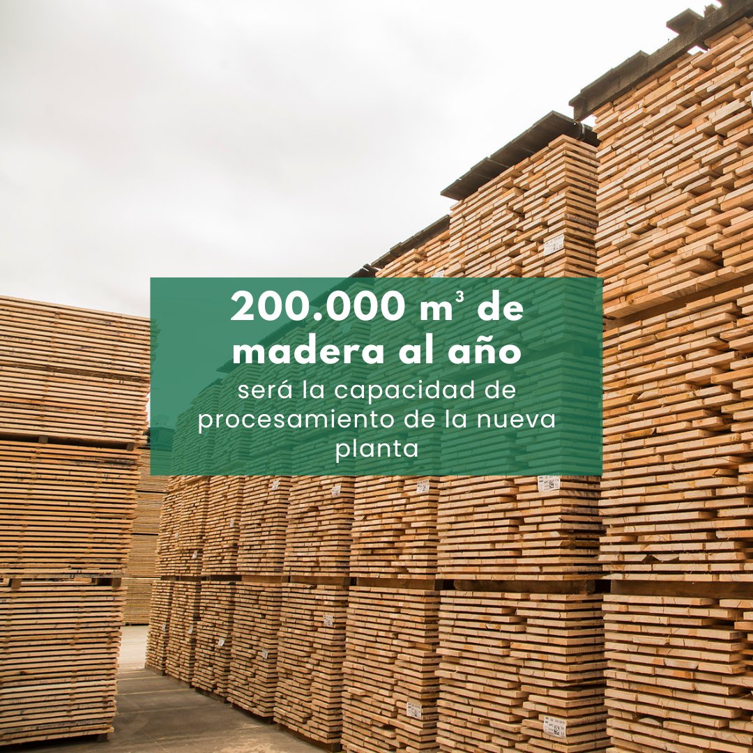 Revista Forestal tweet media