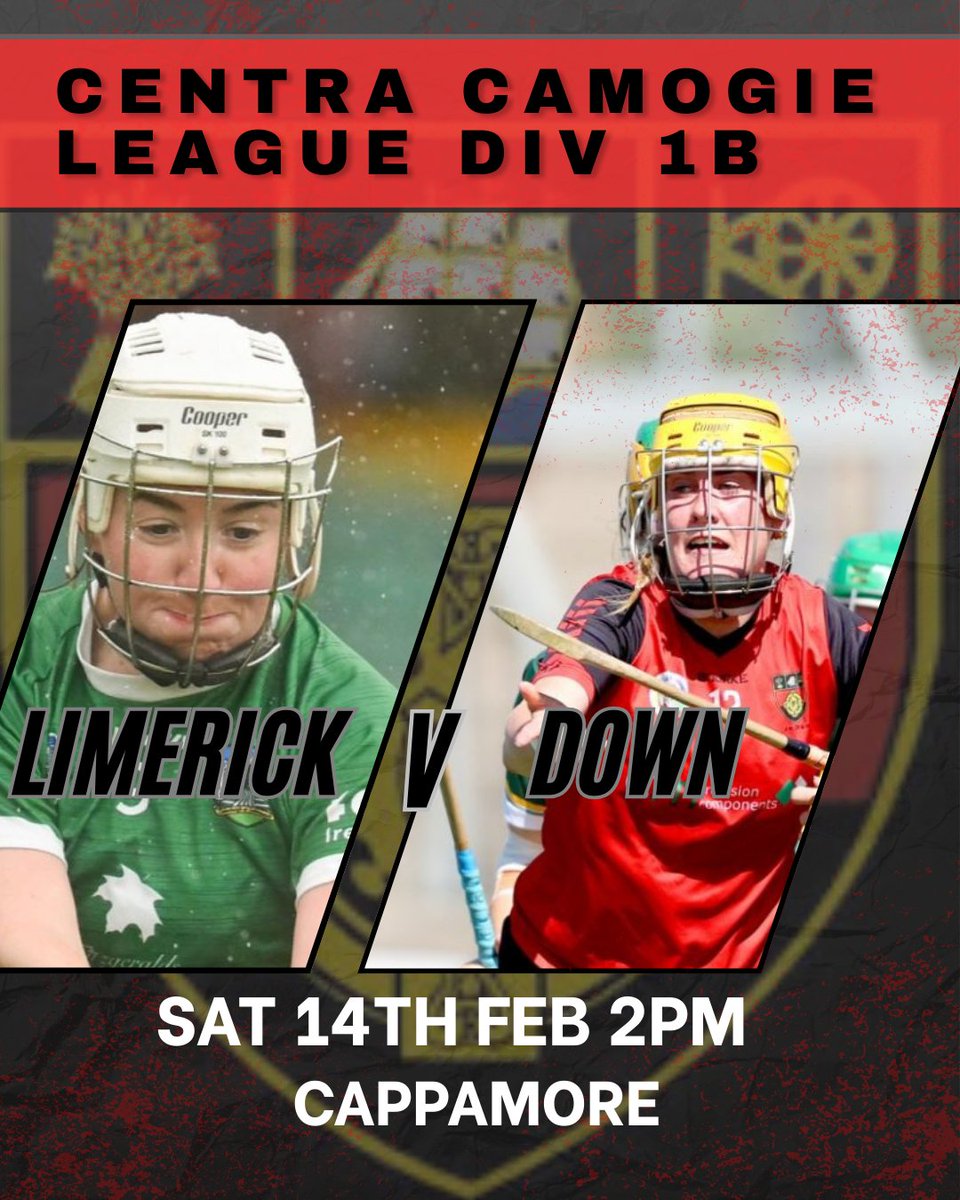 Official Down Camogie tweet media