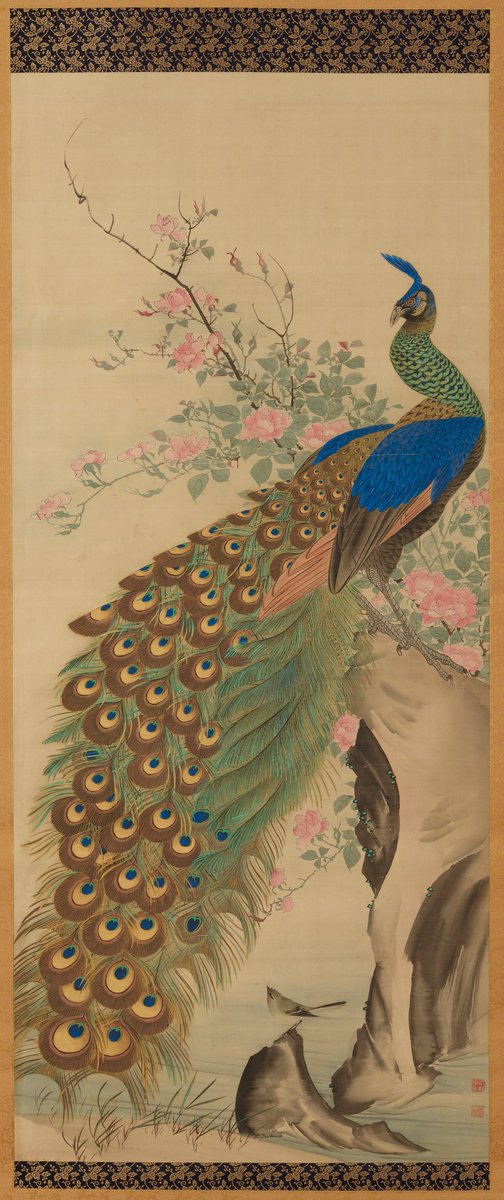 JapanTraCul's tweet photo. Peacock and flowers [right of a pair of Birds and Flowers], by Nagasawa Roshu, ca. 1840 https://t.co/xvnFX1rPcy