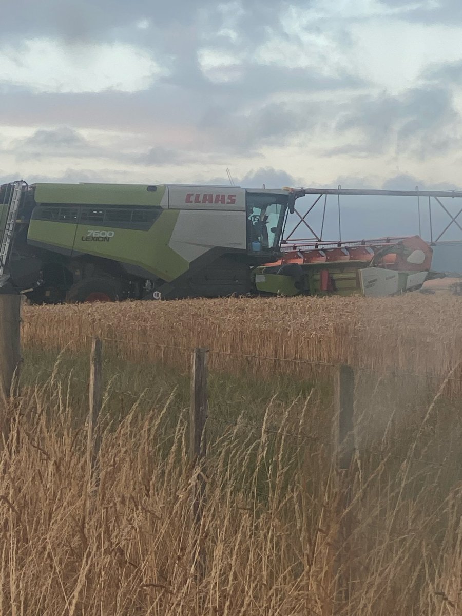 That time of year out here on farm