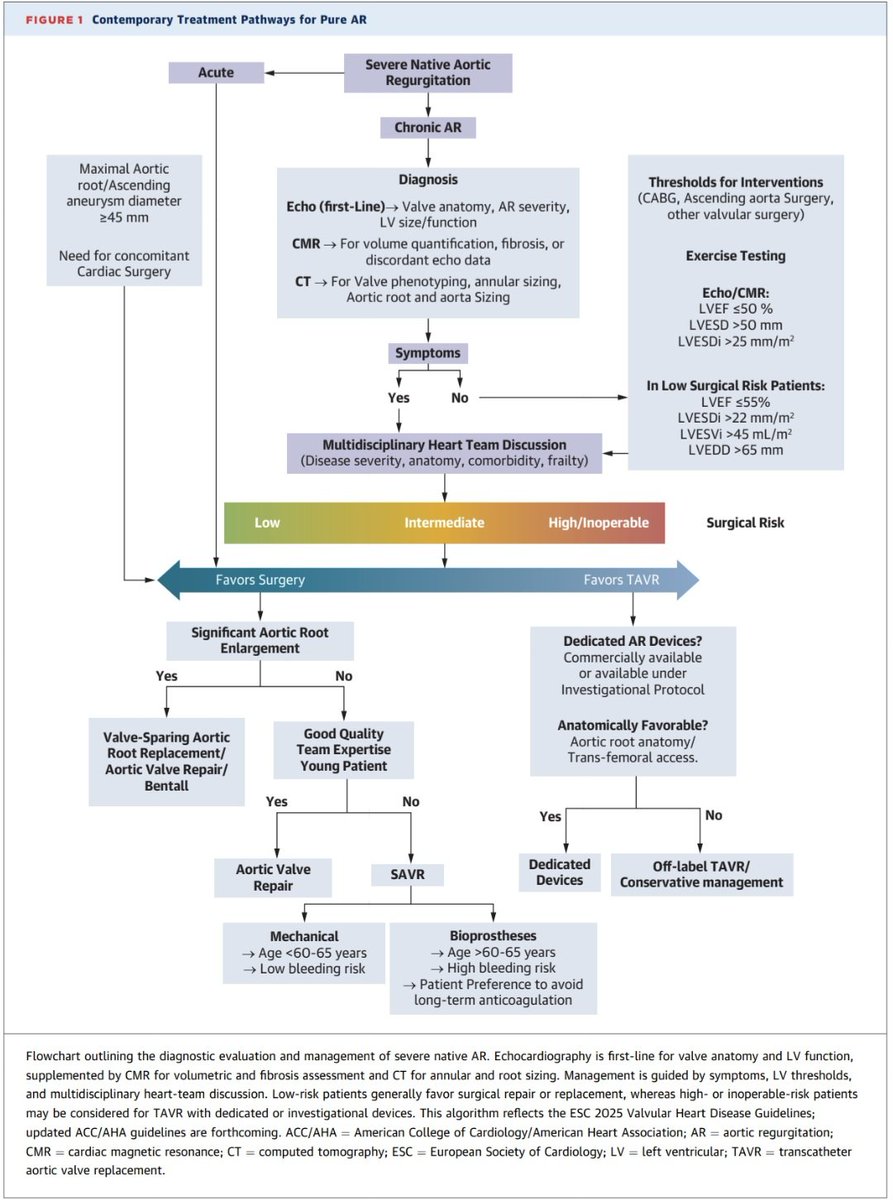 javier20ch's tweet photo. Diagnóstico & tratamiento actual de la Ins. Aórtica. 🫀💥🧐
🔷️La IA sigue siendo una valvulopatía progresiva y subtratada. A pesar de indicaciones Clase I, muchos pacientes (especialmente adultos mayores y frágiles) nunca llegan a intervención, con remodelado del VI irreversible y falla cardiaca. 💣🫀💥
🔷️Diagnóstico actual🔎: Eco sigue siendo la base, pero ya no es suficiente en muchos casos. La RM cardíaca emerge como estándar para cuantificar volumen y fracción regurgitante, medir volúmenes del VI (LVESVi ≥43–45 ml/m² = alto riesgo), detectar fibrosis miocárdica (marcador pronóstico adverso). La deformación longitudinal global (GLS) identifica disfunción subclínica antes de que caiga la FEVI (GLS peor de −18% a −19% = alerta temprana⚠️).
🔷️Intervención más temprana: las guías ESC 2025 ya no esperan FEVI <50%. En pacientes de bajo riesgo, se apoya intervenir con: FEVI <55%, LVESDi >22 mm/m², LVESVi >45 ml/m². Incluso asintomáticos, si hay remodelado progresivo. 🧐☝🏻
🔷️Tratamiento quirúrgico🔪: la cirugía sigue siendo el estándar➡️ Prótesis mecánicas (máxima durabilidad), bioprótesis (opción “válvula en válvula”), reparación valvular, procedimientos de David/Yacoub y Ross (cada vez más usados en centros expertos, sobre todo en pacientes jóvenes👌🏻).
🔷️TAVI: la TAVI convencional fue diseñado para estenosis aórtica y tiene limitaciones en IA (anillos grandes, sin calcio). Pero nuevas válvulas dedicadas para IA nativa (ej. JenaValve) están cambiando el panorama en pacientes inoperables o de alto riesgo.🤔✔️

📄🆓️⤵️ State-Of-The-Art Review 2026 @JACCJournals 💯
https://t.co/0ZyXsThTvE
https://t.co/BW0rrAp8Hq
