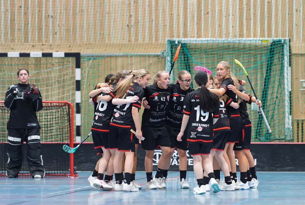 Glädjeruset efter avancemanget: ”Gick att ta på känslan i hallen”

innebandymagazinet.se/ungdoms-sm/gla…

Foto: Patrik Palm.