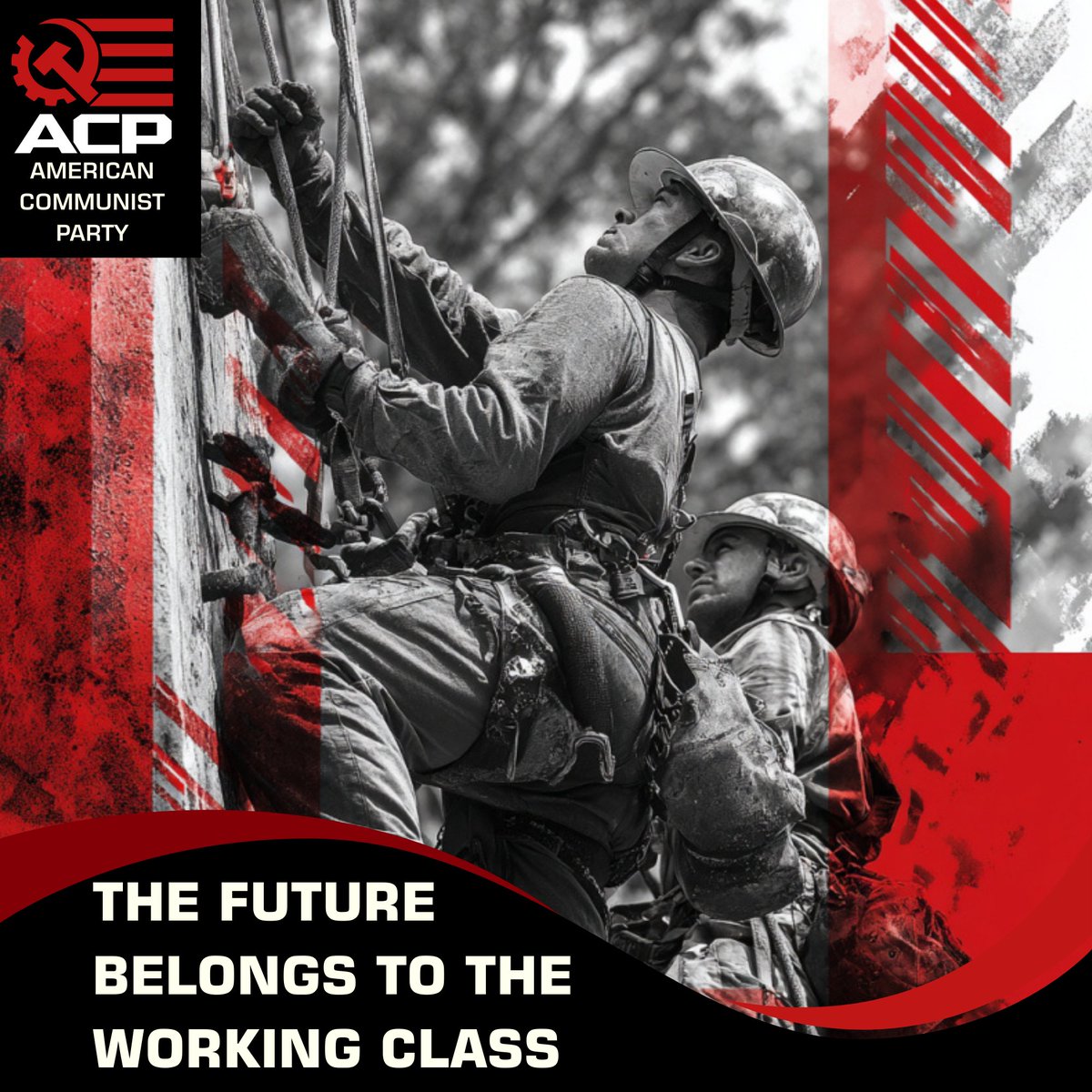 America was built by workers and looted by capital. What was taken won’t be restored from above.

A new authority must be built brick by brick among the people to save our country.

JOIN THE CLASS WAR TODAY
acp.us/join