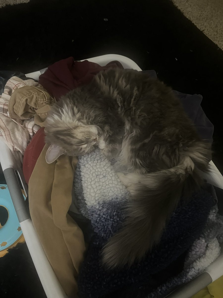 ethan (@bluessbm) on Twitter photo 