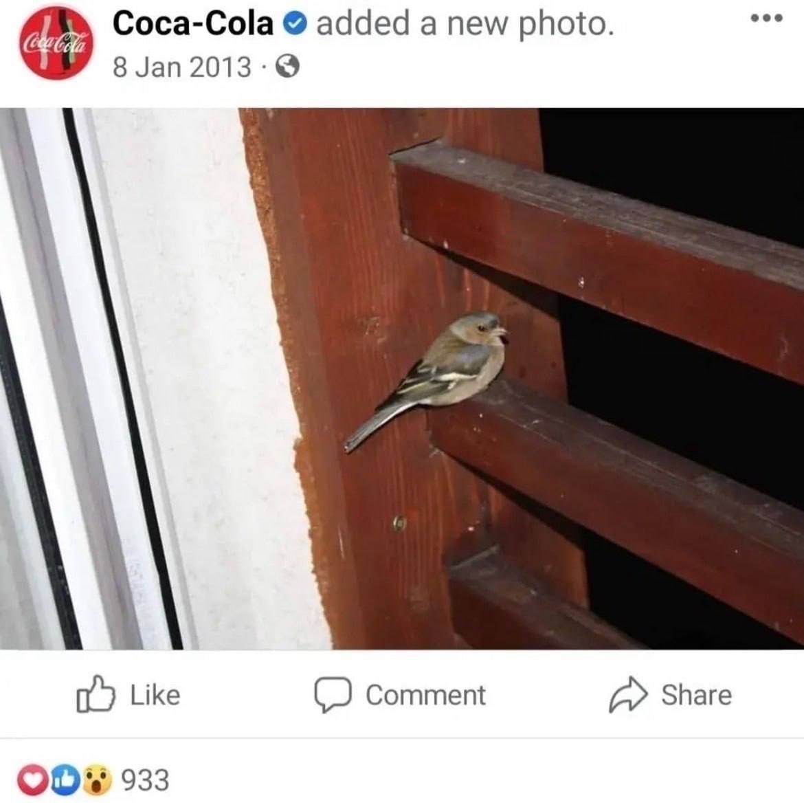 i miss when brand social media accounts were just run by some dude