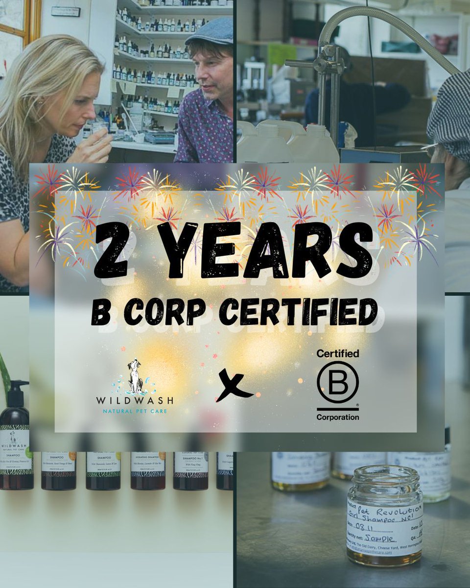 WildWash tweet media