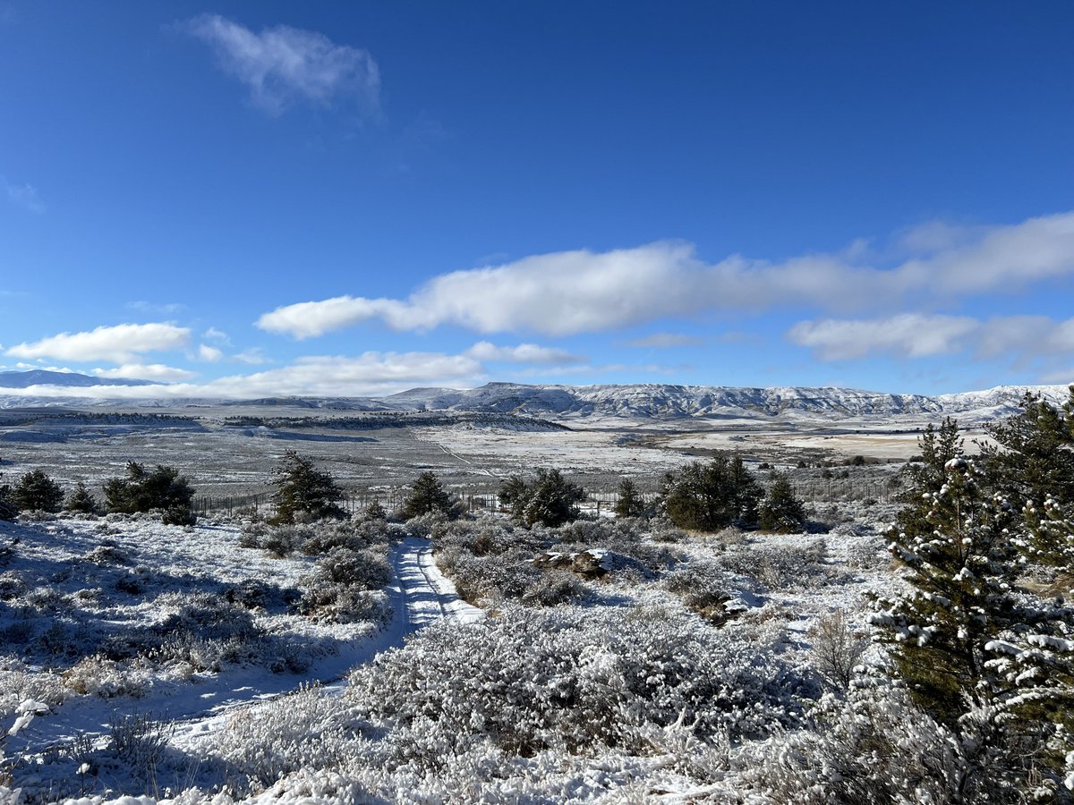 wolfhavenint's tweet photo. After a late start, winter is finally making its presence known as a light dusting of snow settles over Wolf Haven's McCleery Ranch sanctuary in Montana!

#WolfHavenInternational #McCleeryRanch #sanctuarylife #winterviews #montana #conserveandprotect #conservation #wolf #wolves https://t.co/GwIiELy9vA