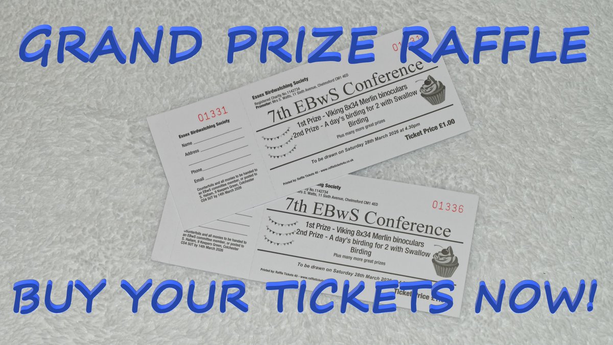 Essex Birdwatching Society tweet media