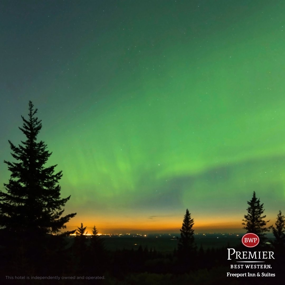 Discover the best of Calgary, vibrant events, stunning sunsets, and endless things to explore 🌇 Stay close to it all at Best Western Premier Freeport Inn &amp; Suites 🌟

Book your stay today!
👉 bestwesterncalgary.com

#Calgary #CalgaryAlberta #YYC #TravelAlberta #NorthernLights