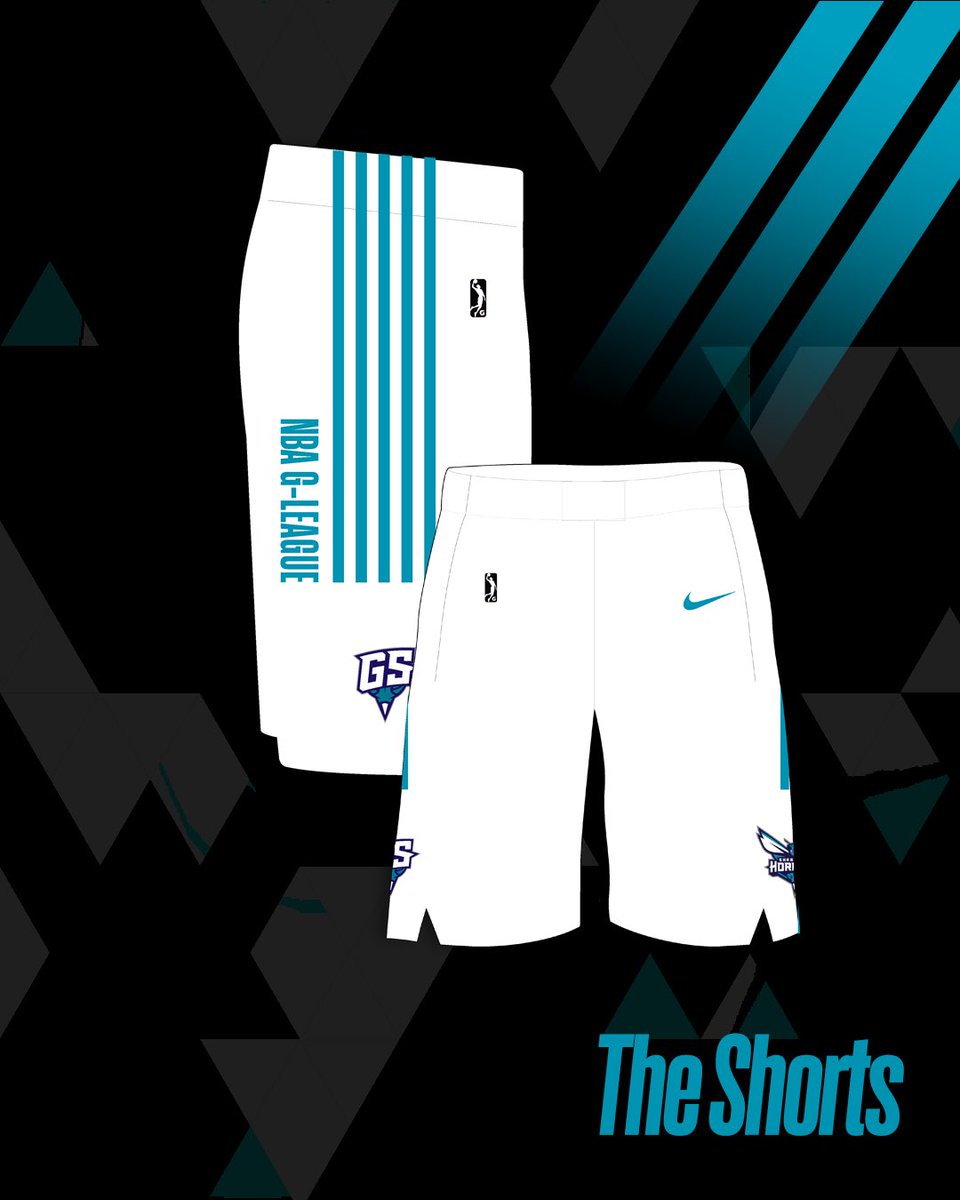 Greensboro Swarm tweet media